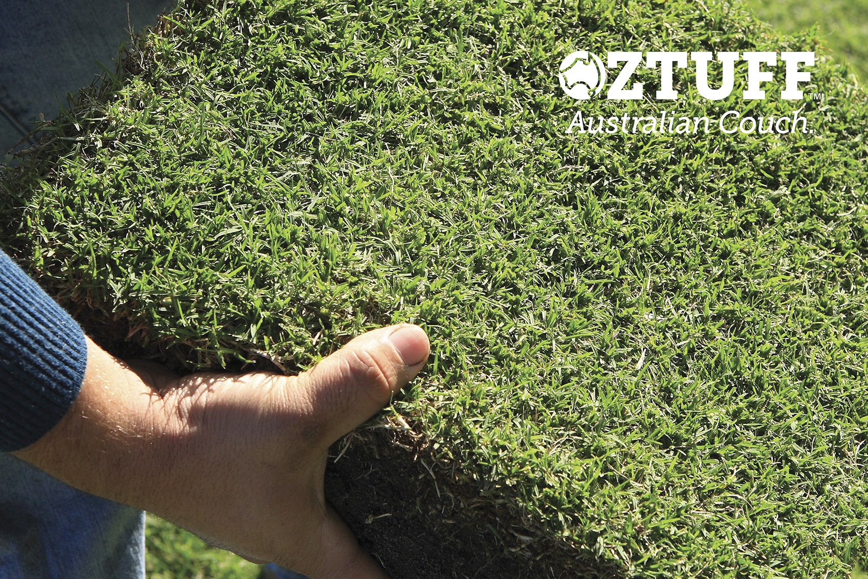 OzTuff Couch Natural Turf All About Turf sports couch