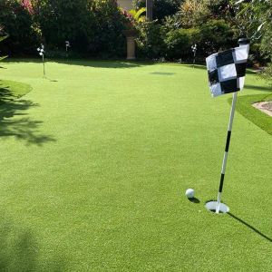 Synthetic turf All About Turf putting green with flag in backyard