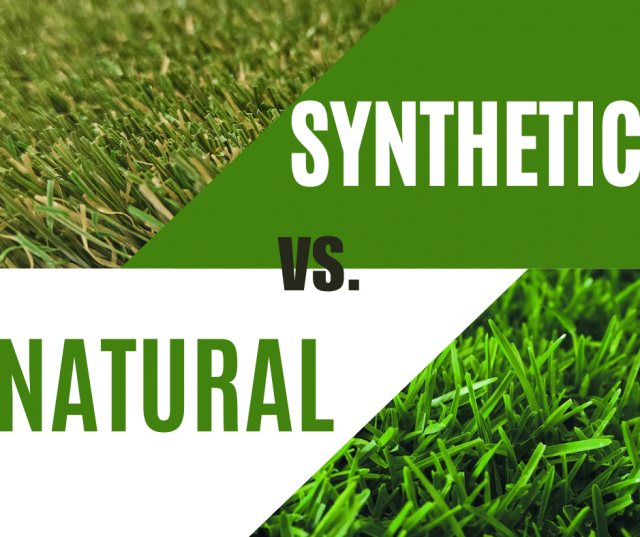 natural turf vs synthetic turf All About Turf