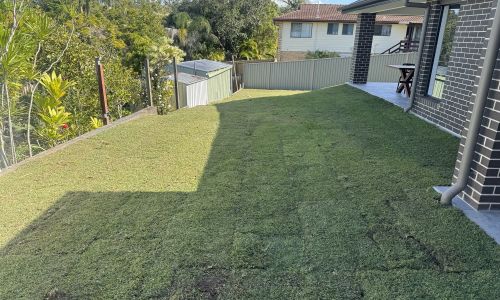 Winter turf laying natural turf All About Turf