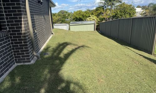 laying natural grass in winter All About Turf