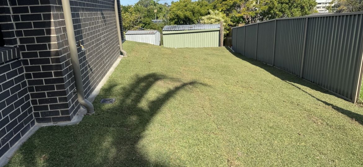 laying natural grass in winter All About Turf