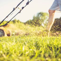 Mowing Grass Wet Turf Mow All About Turf